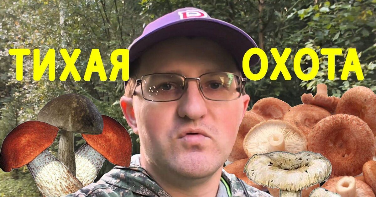 A quiet hunt after the rain: mushroom picking in a local quarry - Series Blog, My, Mushrooms, Nature, The nature of Russia, Macro photography, Photo hunting, Romarik, novel, Vologodskaya Oblast, Borovik, Chilik, Lactarius, Video, Rutube, Video VK, Longpost, Mushroom pickers