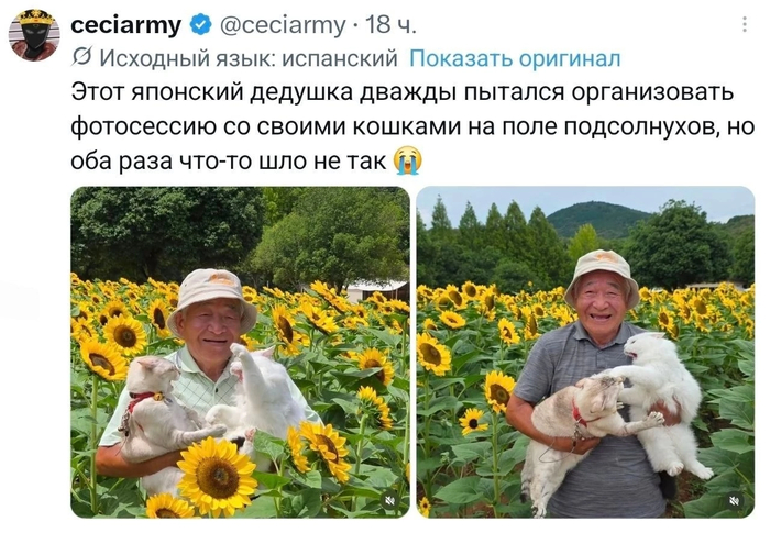 ������, ��� � ��� �����