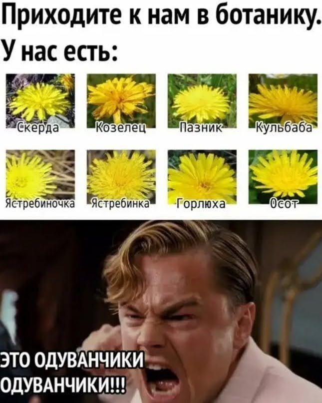 Сплошной обман эта ваша биология!