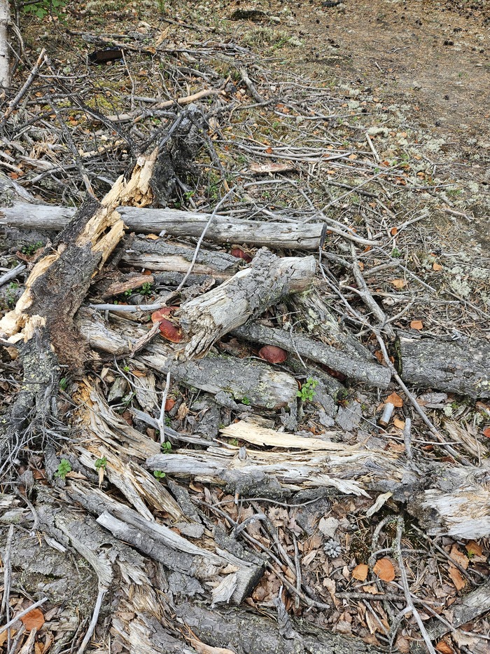 Да приходиться разгребать )