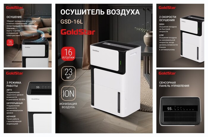 Осушитель воздуха GoldStar GSD-16L, черно-белый, для помещения до 23 кв. м, встроенный ионизатор