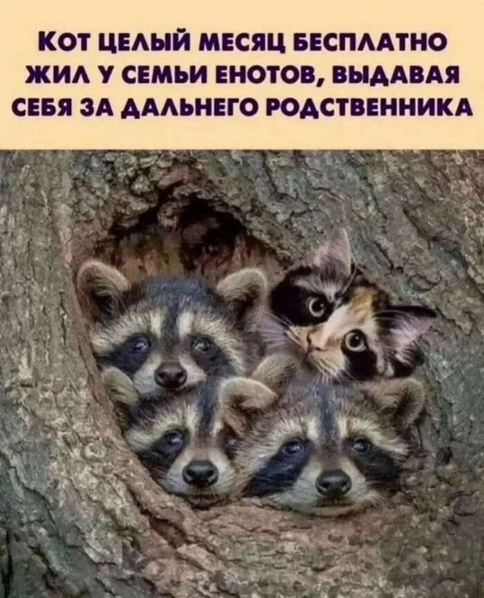 Да ладно