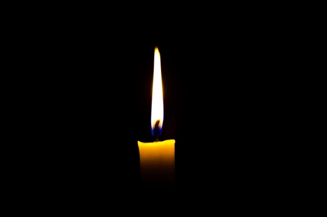 Фото: <a href="https://pikabu.ru/story/poedet_k_karlushe_voron_blogera_chugaynova_mozhet_otpravitsya_v_novyiy_dom_14273332?u=https%3A%2F%2Fwww.magnific.com%2F&t=magnific.com&h=51010ba423e8fda2cf1d20275e2e18c38f8a5688" title="https://www.magnific.com/" target="_blank" rel="nofollow noopener">magnific.com</a>