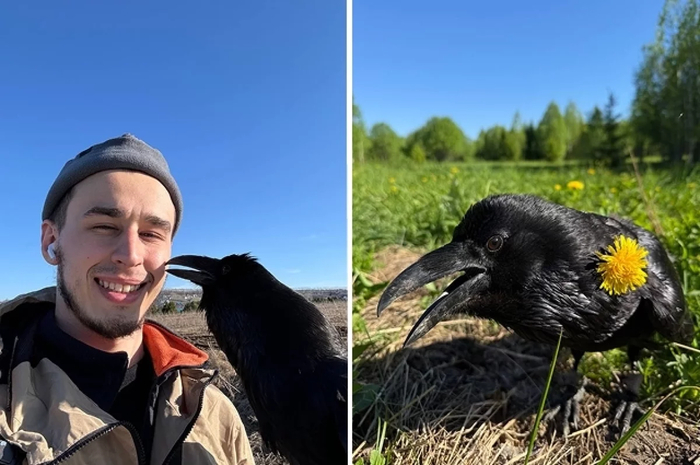Жизнь вОрона Гоши