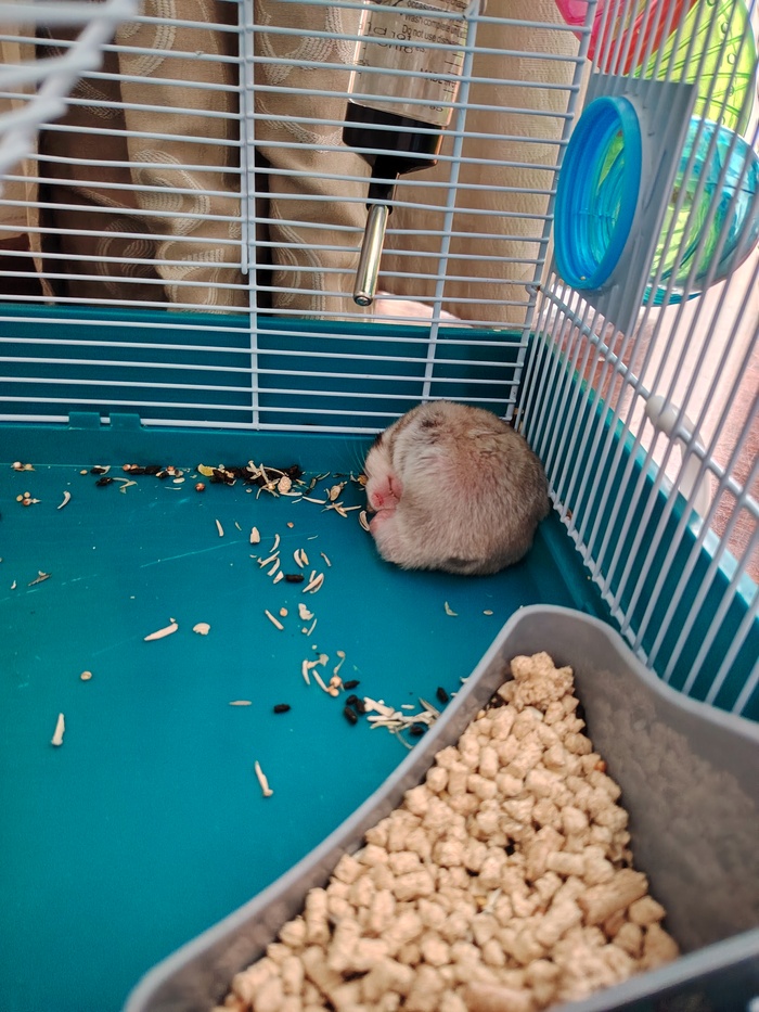 ���� ����