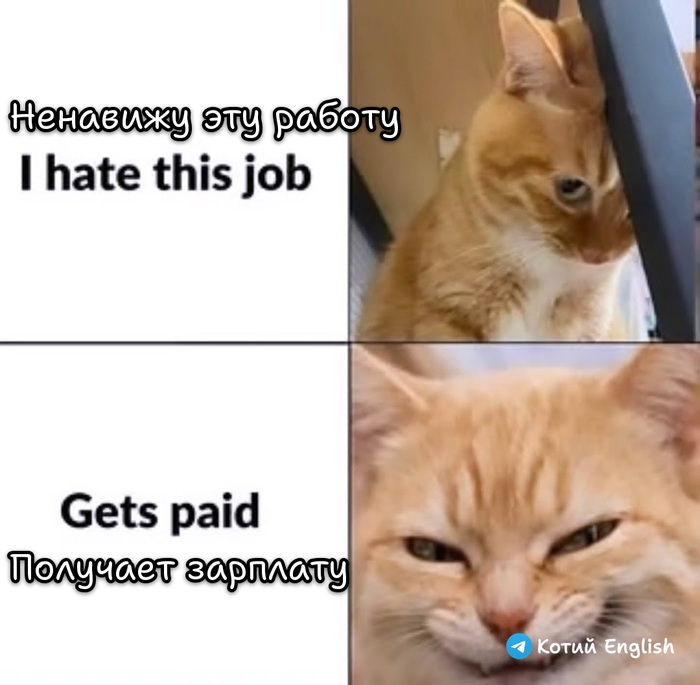 ����� ������ ������ � �����