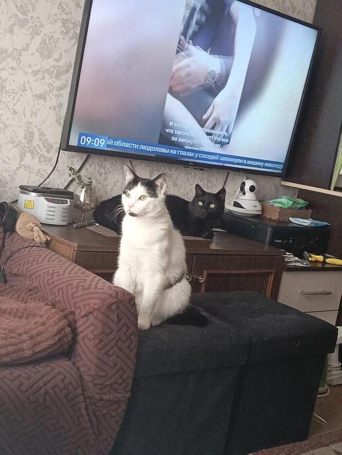 Ну и младшая