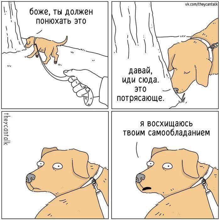 Самообладание