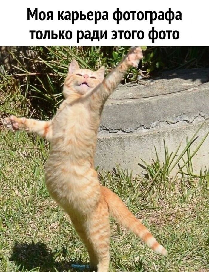 Сокровище