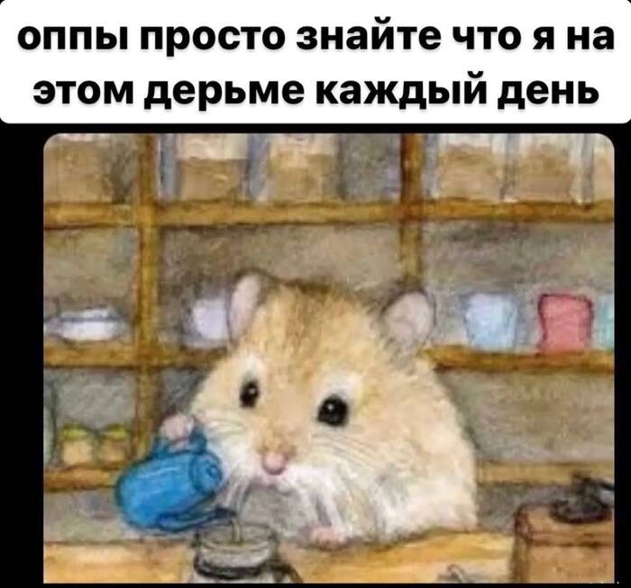 �������� ��� ����
