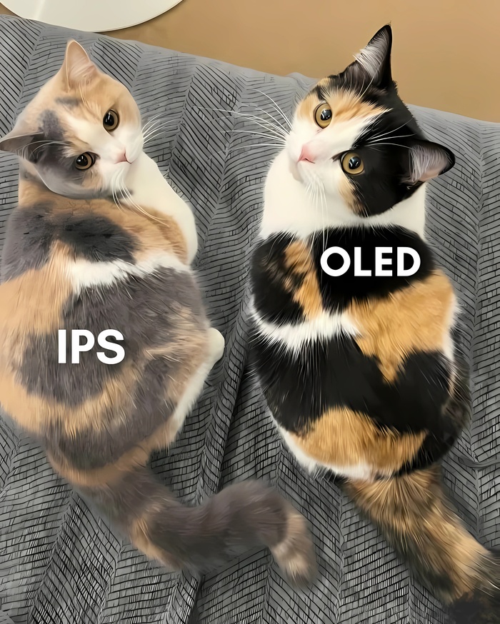 �������� �� �������