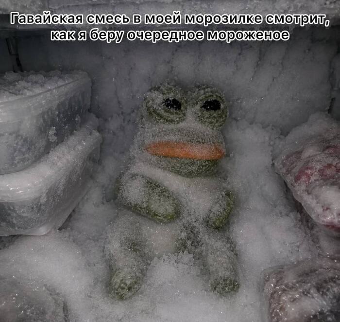 ����� �������� ����