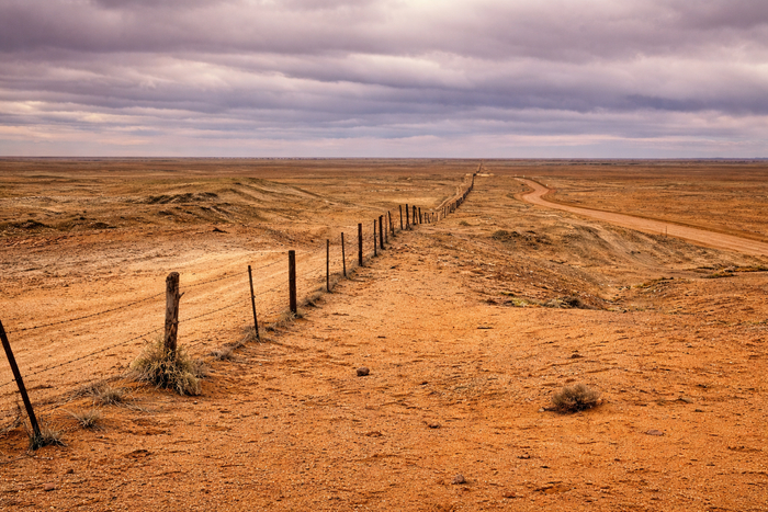 Dingo Fence