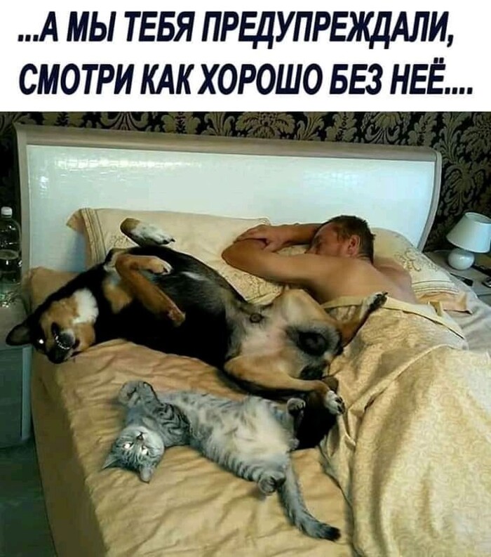 Ответ на пост «Выгоняй ты её! Будем, как раньше, вдвоём жить!»