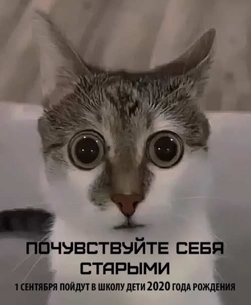 ��������...