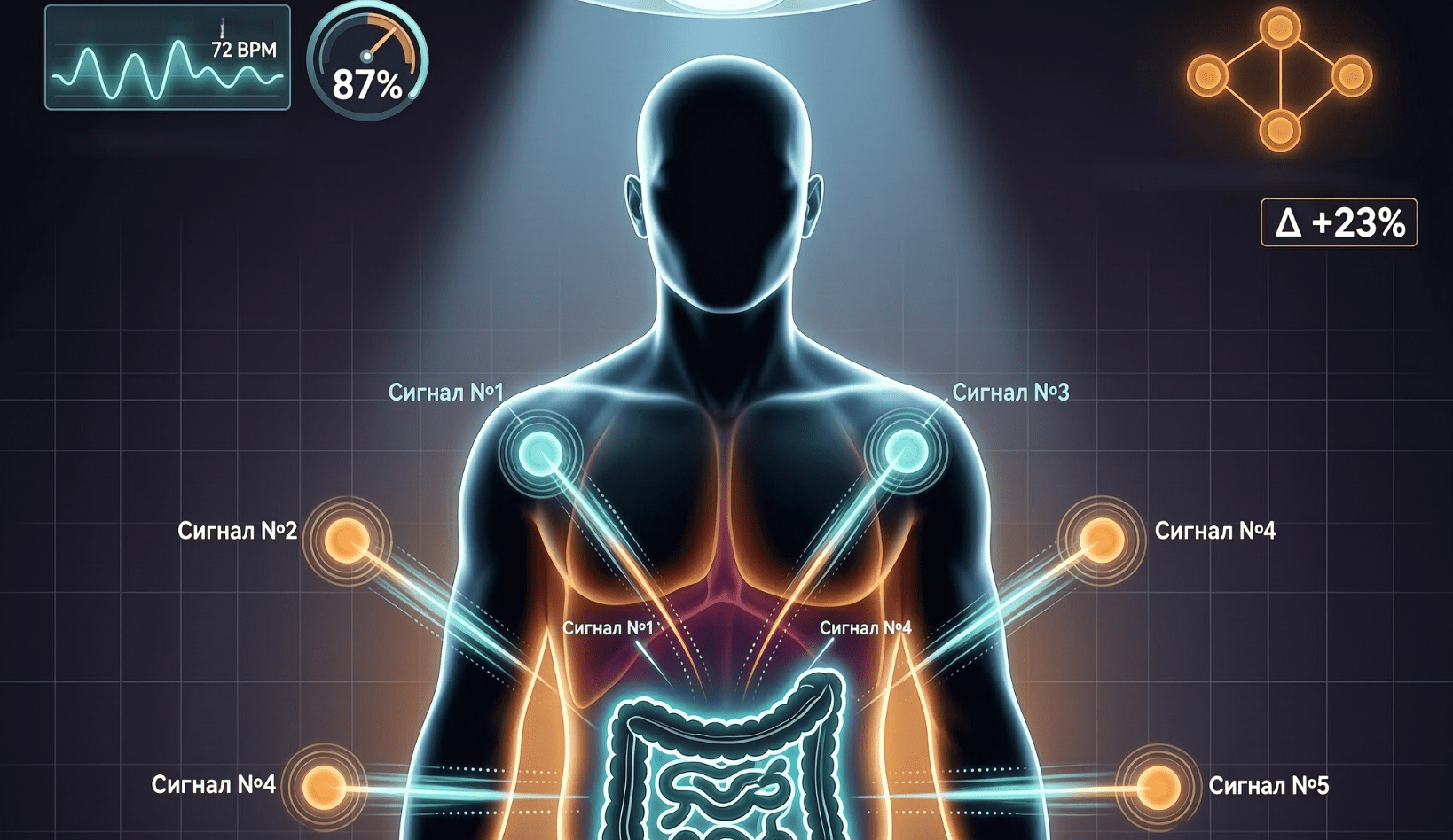 Stress Kills the Gut: How to Support Your Body - My, Healthy lifestyle, Proper nutrition, Nutrition, Diet, Care, Longpost