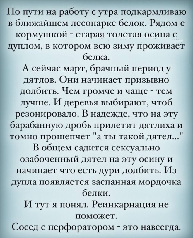 Ответ на пост «Мечтаю о шумоизоляции...»