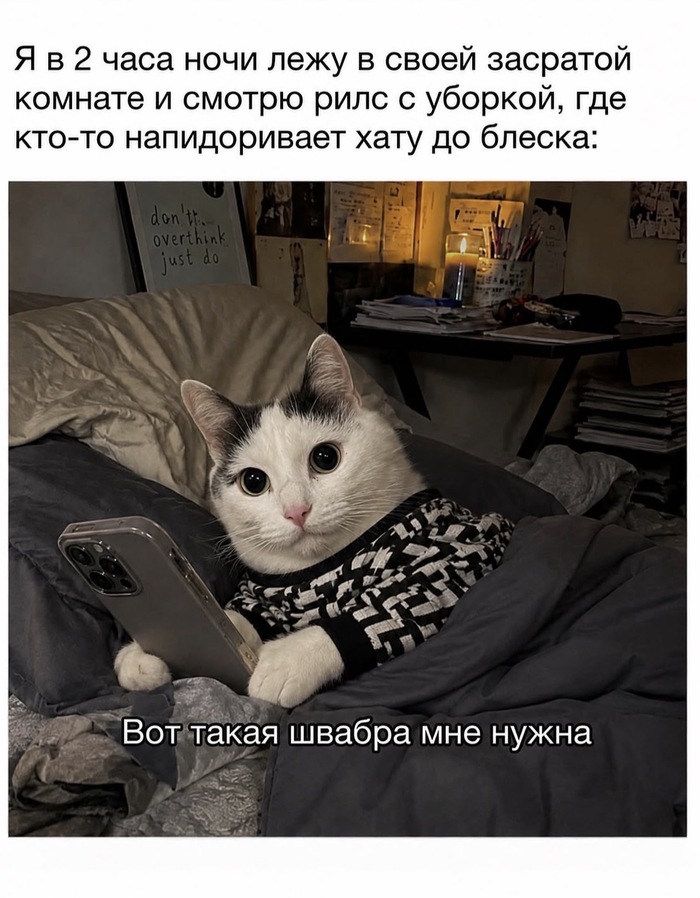 Не, ну с такой шваброй точно наведу порядок