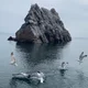����� ����� ������ ���� �����������