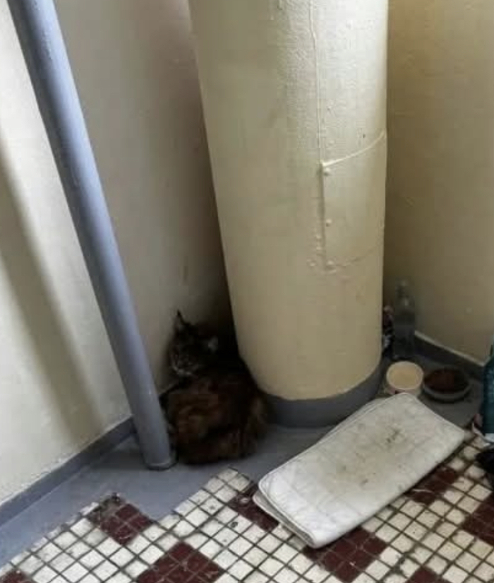 Вот так выглядит предательство