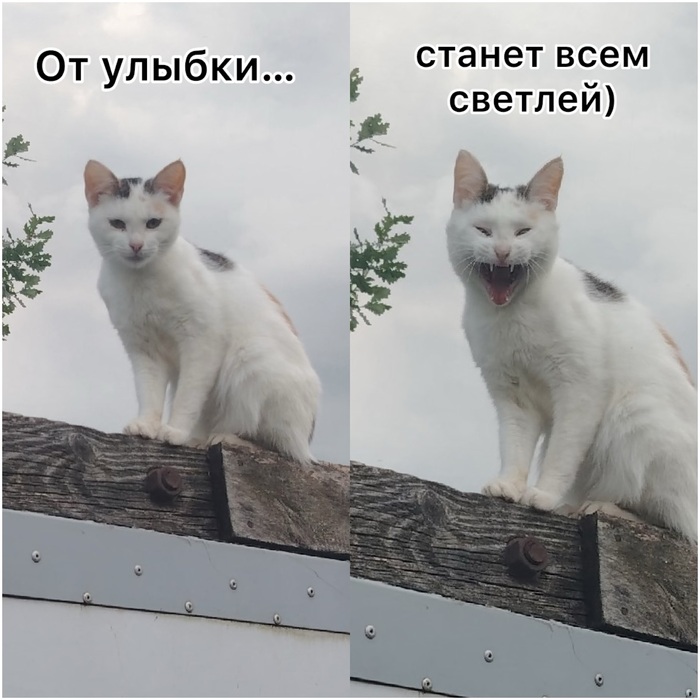 ����� ������ ��������������� ������