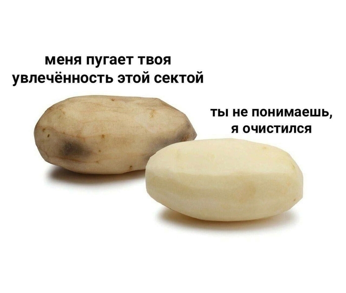 Краткая суть проекта