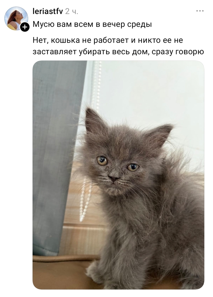 ��� �� ������� ���� �������