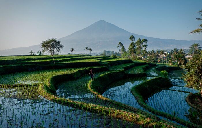 ������ �� ������� ���� � ������, �������� ���, ���������//����: Algi Febri Sugita/NurPhoto via Getty Images