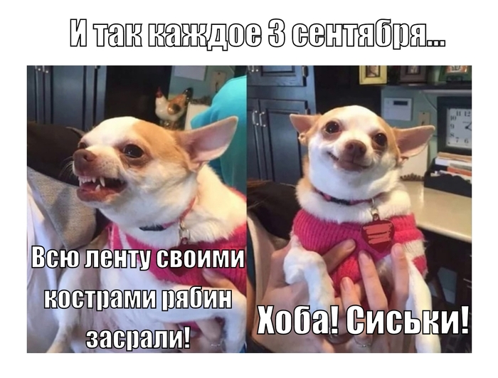 А ты перевернул календарь?