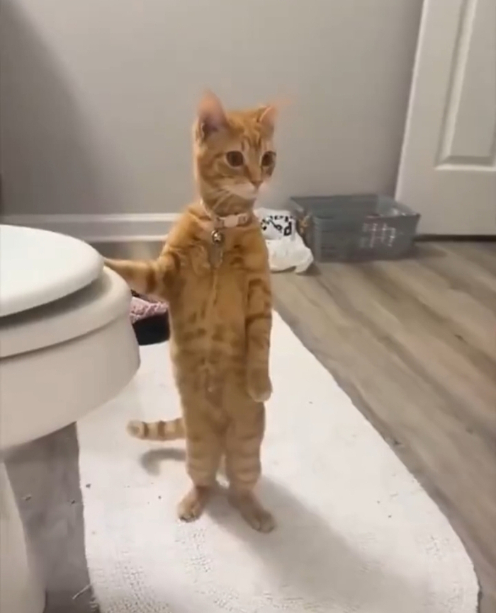 ���������, � �� � ���� �����...