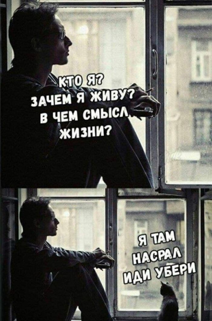 ����� ����� �������