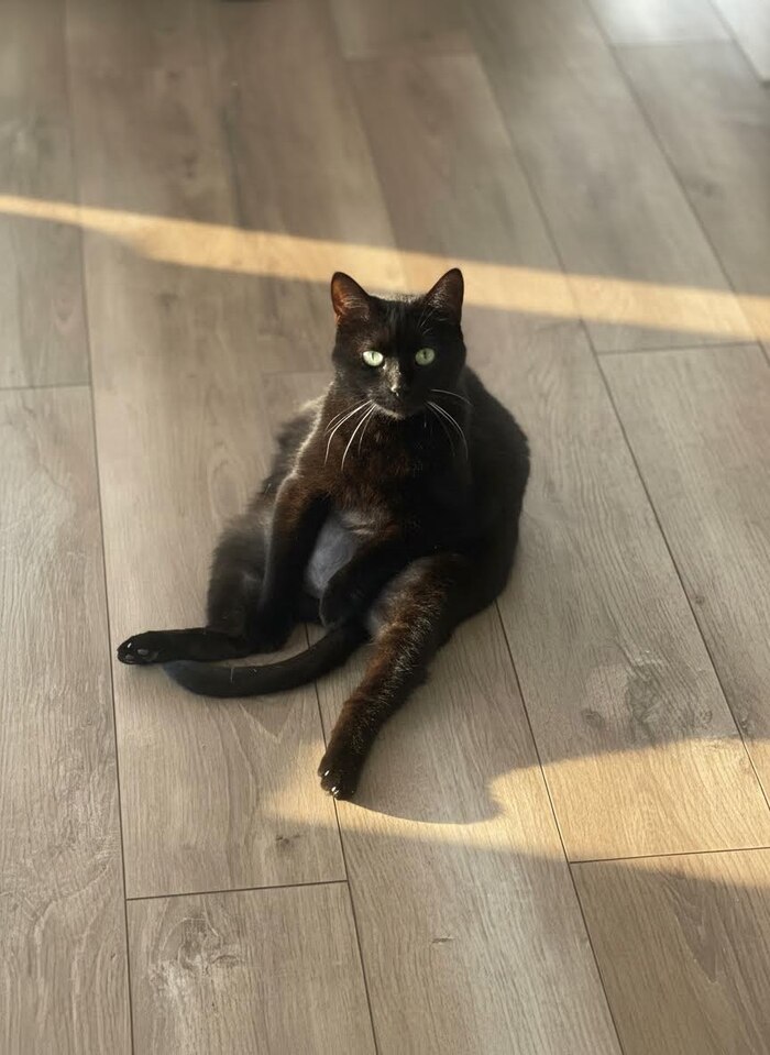 Хло, 15 лет