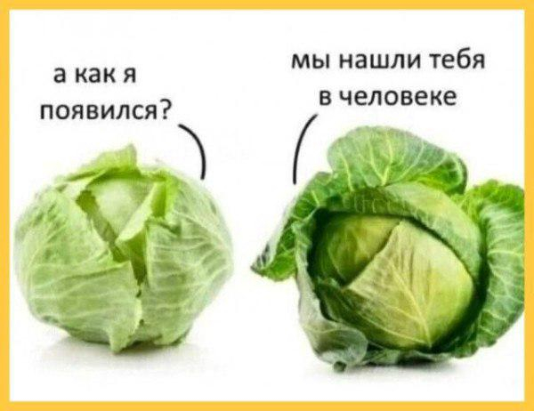 Откуда берутся дети