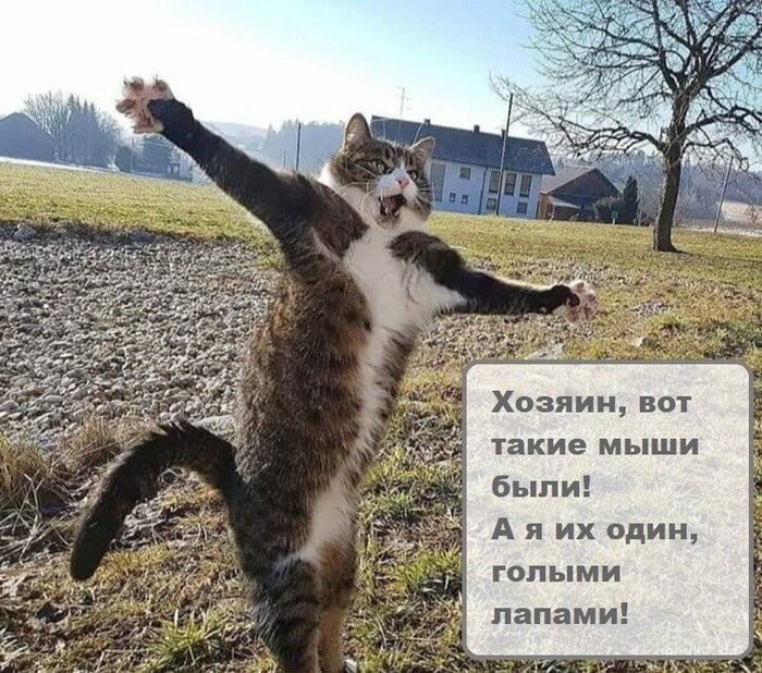 Клянусь, вот те крест