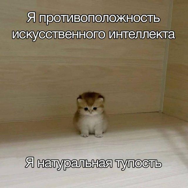 Лучшее качество – натурально