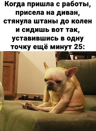 � ���� ���� �� ���?