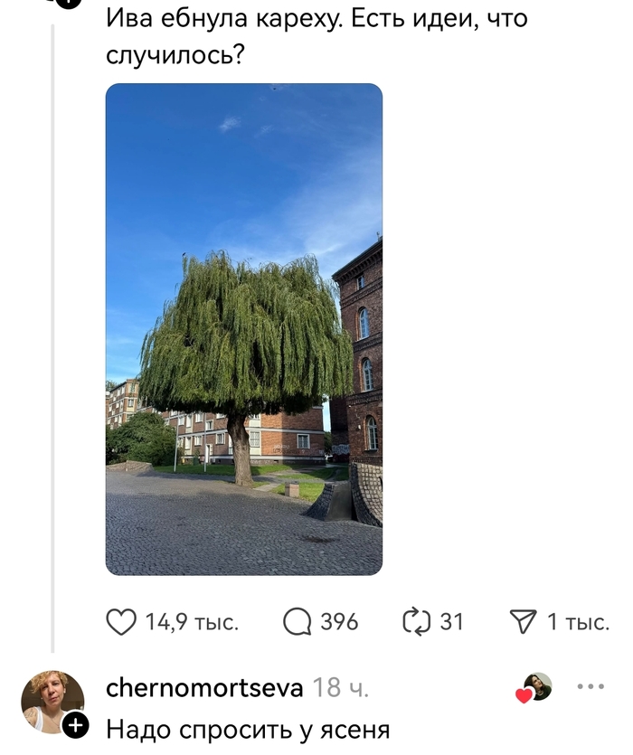 Дерево