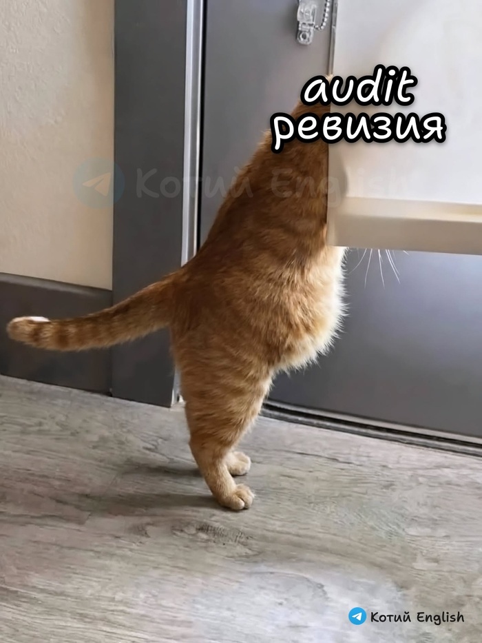 Ревизия