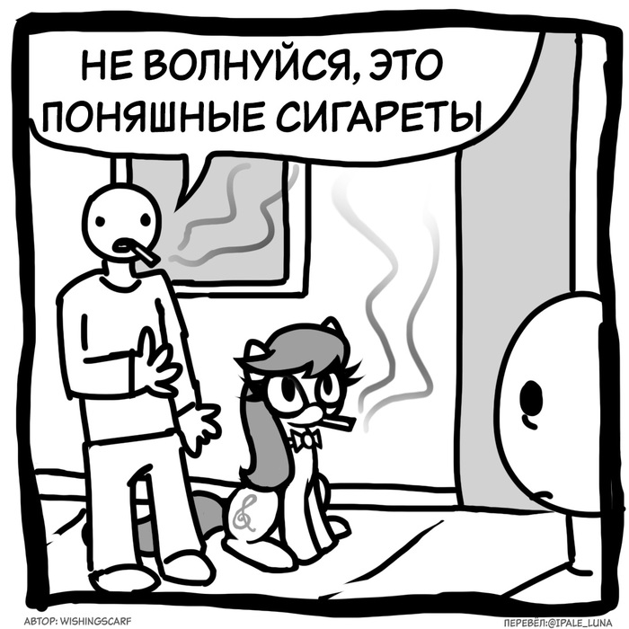 Всё в рамках закона