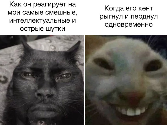 Хорошая шутка