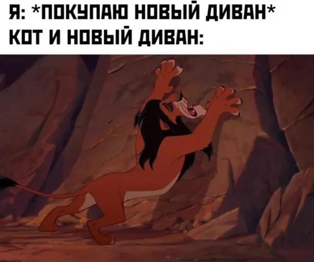 3nmyqa3h.webp