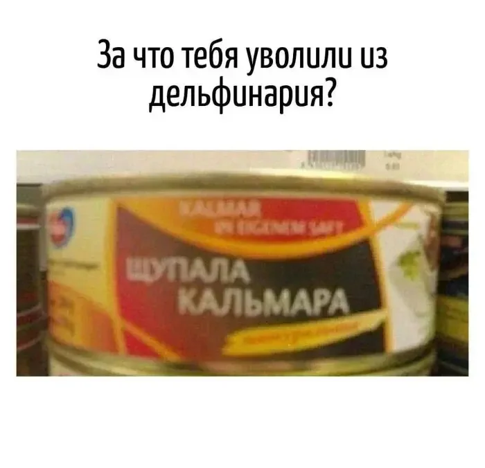 3rmyqa7l.webp