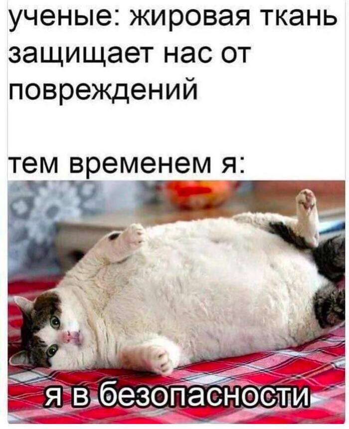 ���� ������� ������, ������ ��� ��