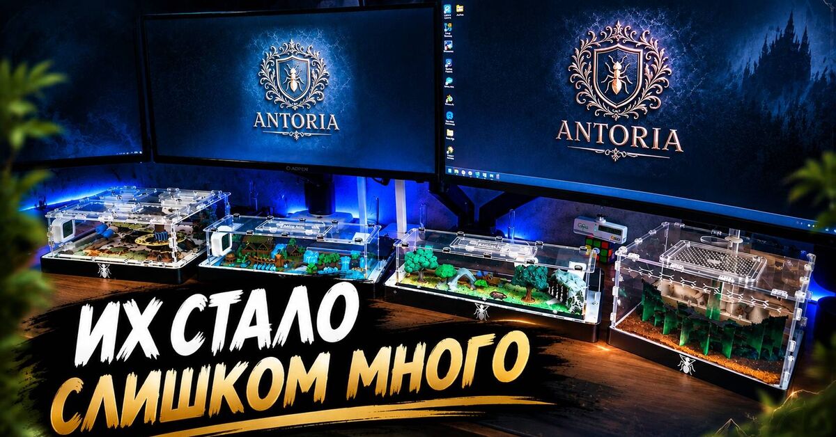 One Year of Antoria: How One Colony Turned into a Fantasy World - Series Antoria, My, Ants, Anthill, Formicaria, Ant farm, Myrmikiper, Fantasy, Lord of the Rings, Decor, Terrarium, Hobby, Video, Video VK, Youtube, Longpost