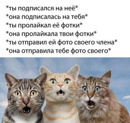 Взаимность