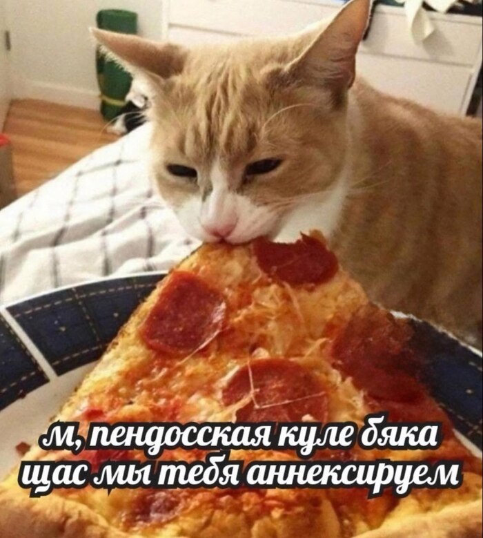����������� ����� �������� �� ���...�