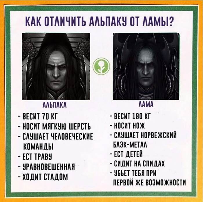 Как отличить Корвуса Коракса от Конрада Кёрза