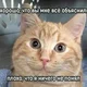 ����� ����� ������ ���� �����������