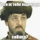 ������ ������������ pnf2