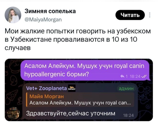 ������ � ��������